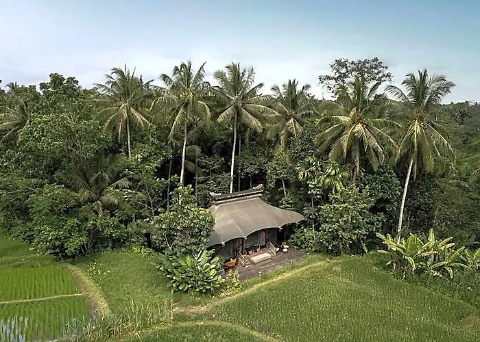 Capella Ubud Kelusa